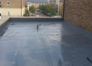 Roof Cleaning - After
